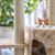 Cat Castle Gallery Image